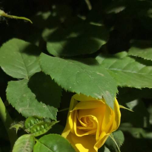 Photo #5730127