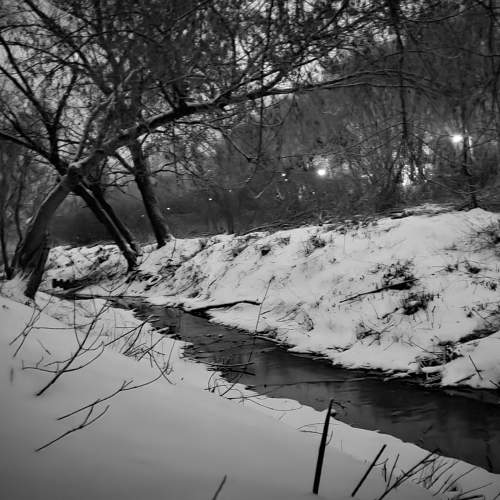 Photo #5730130