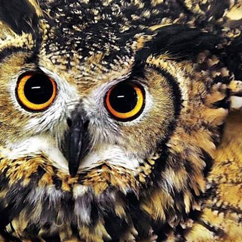 Photo #5730218
