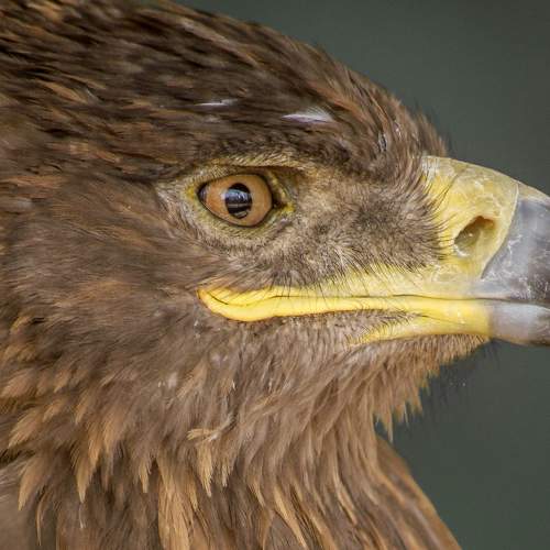 Photo #5730412