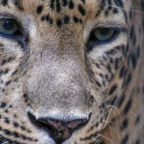 Photo #5730422