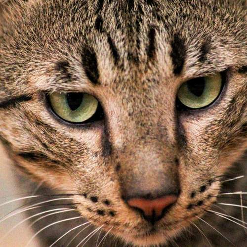 Photo #5730423