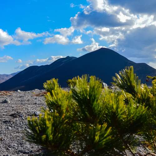 Photo #5730559