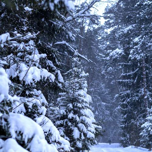 Photo #5730696