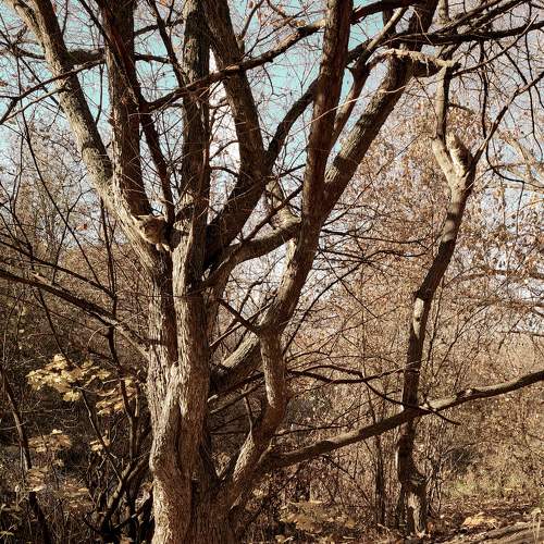 Photo #5730698