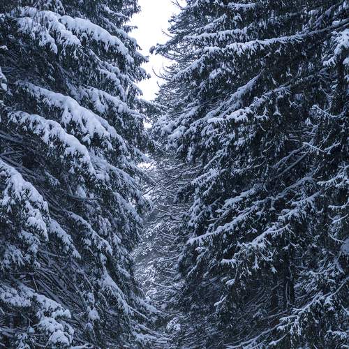Photo #5730702