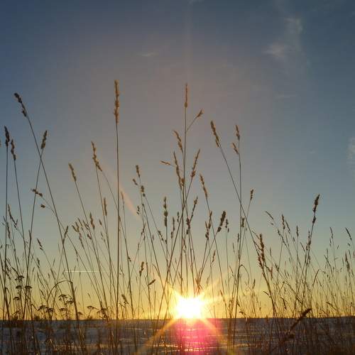 Photo #5730803