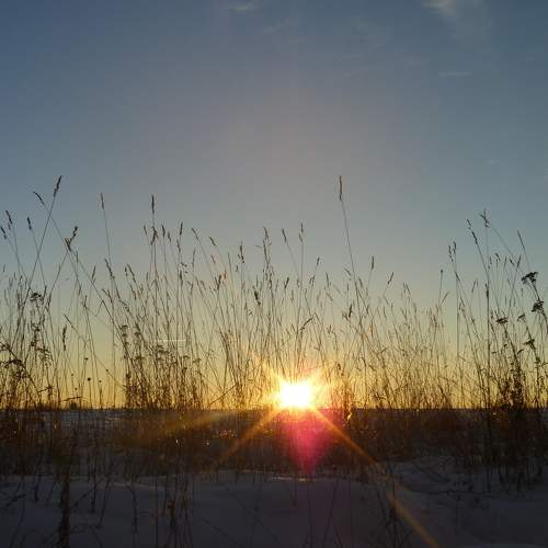 Photo #5730871