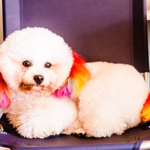 Photo #5730886