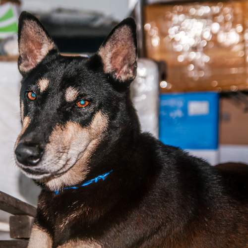 Photo #5730910