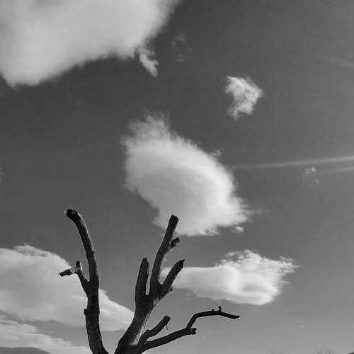 Photo #5731352
