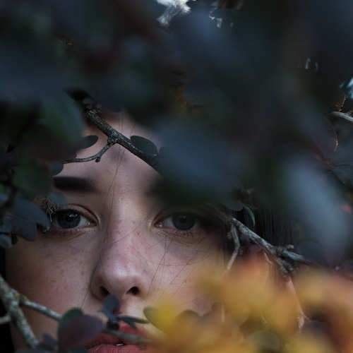 Photo #5731475
