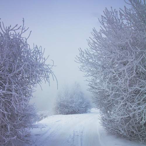 Photo #5731561