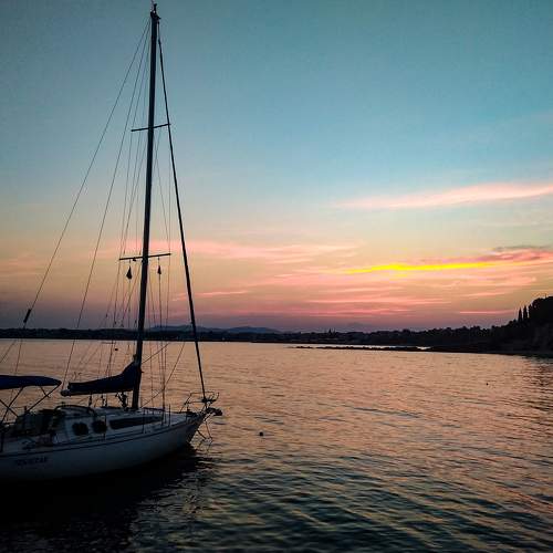 Photo #5731597
