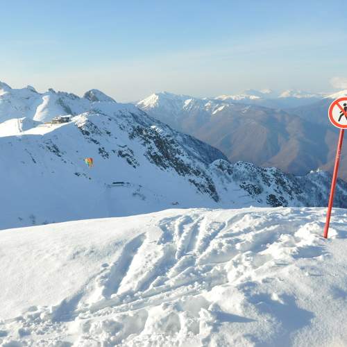 Photo #5731719