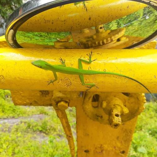 Photo #5731799