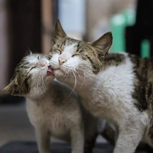 Photo #5732056