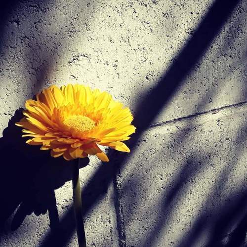 Melancolía
