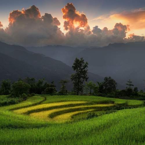 Choản thèn - Y tý