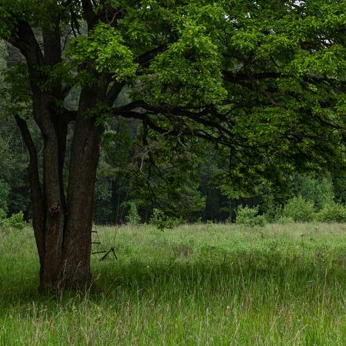 Photo #5733052