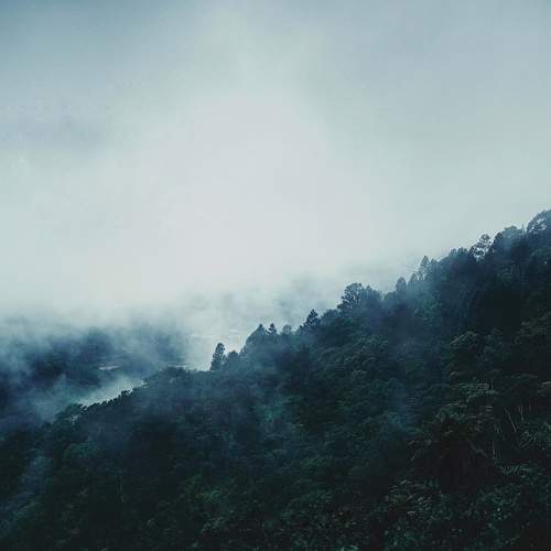 Photo #5733085