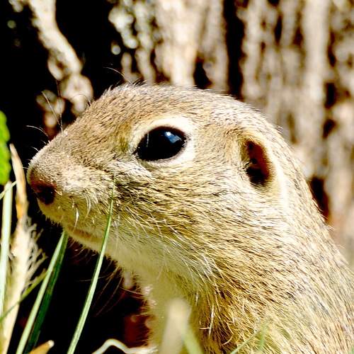 Photo #5733093