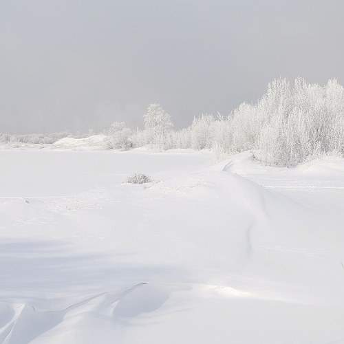 Photo #5733485