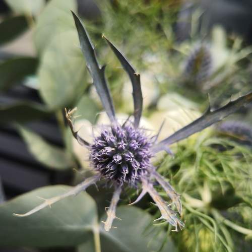 Photo #5733536