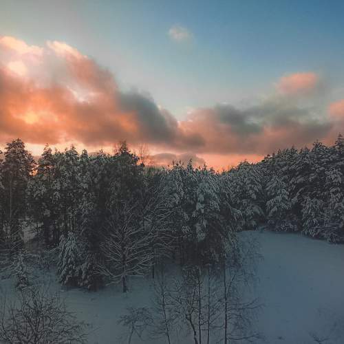 Photo #5733951