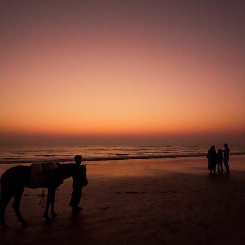 Photo #5734108