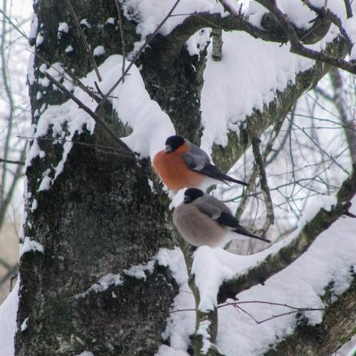 Photo #5734257