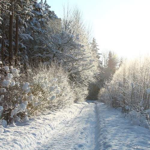 Photo #5734299