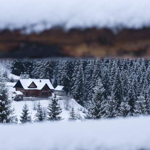 Photo #5734685