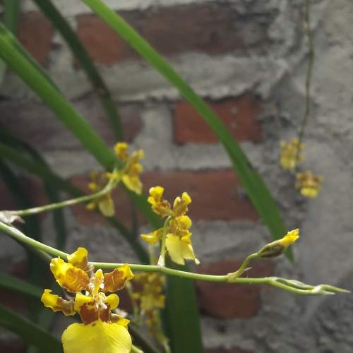 Photo #5735067