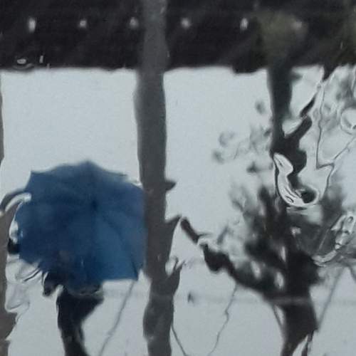 Photo #5735334