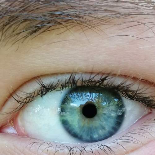 Photo #5735429