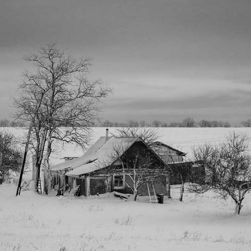 Photo #5735493