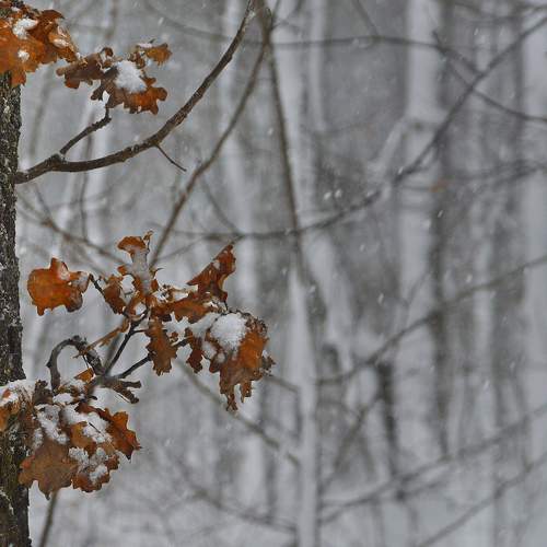 Photo #5735731