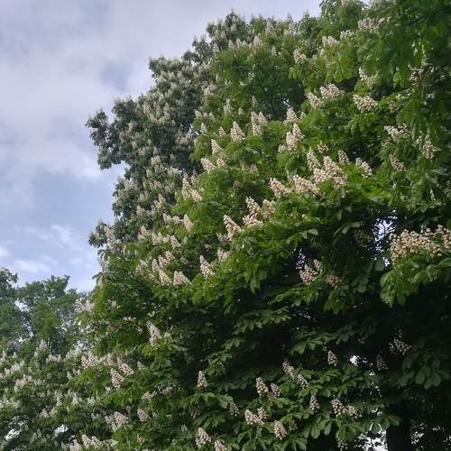 Photo #5737010