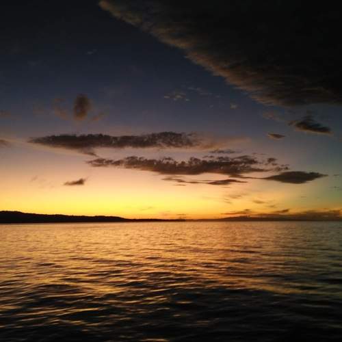 Photo #5737217