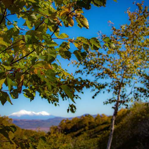 Photo #5737290