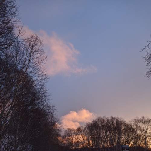 Photo #5737299