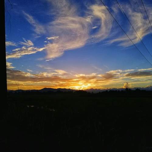 Photo #5737343