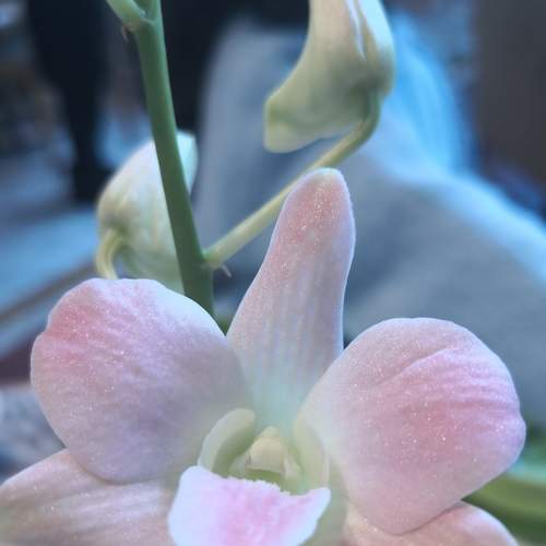 Photo #5737578