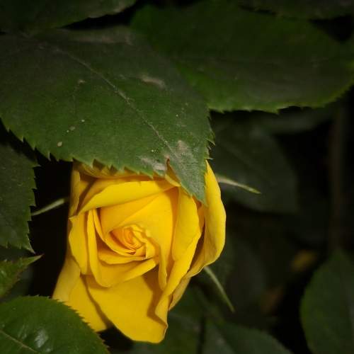 Photo #5737580