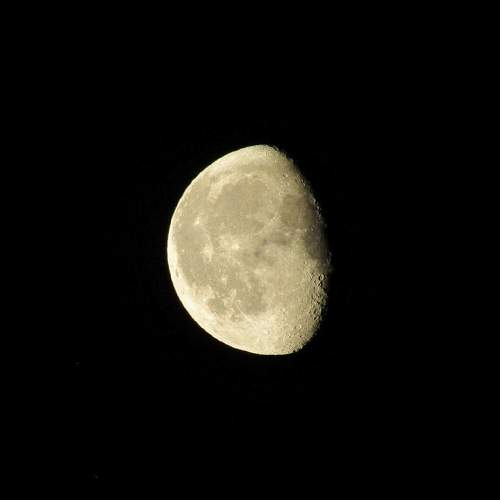 Photo #5737648
