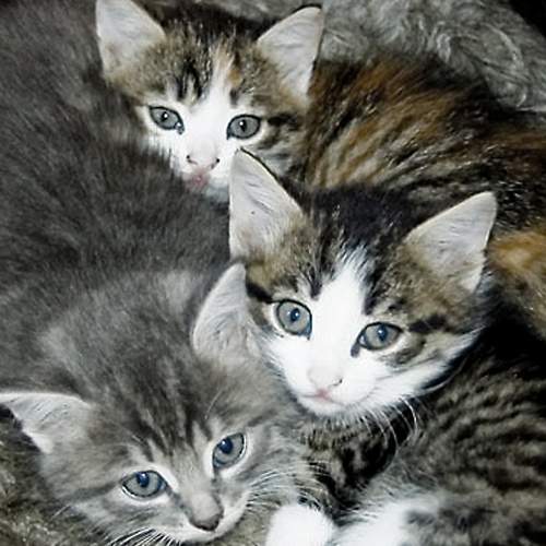 Photo #5737697