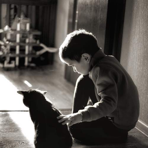 Photo #5737759