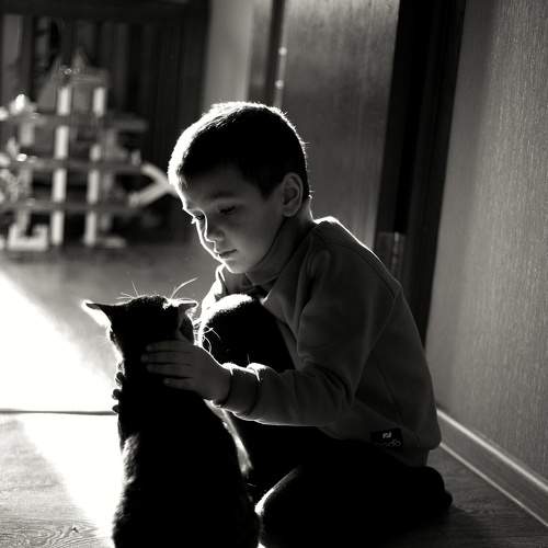 Photo #5737764