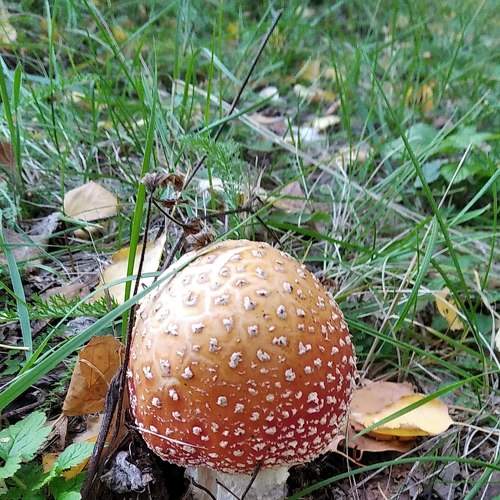 Photo #5737910